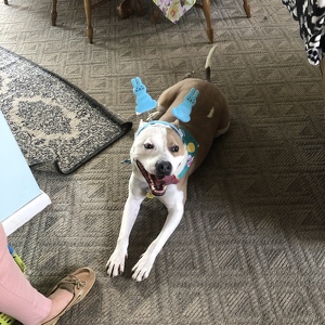 Fundraising Page: Dexter Sullivan - PAC Alum